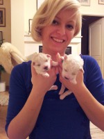 /album/kiskutyaink-elso-karacsonya-/a20121224-183127-jpg/