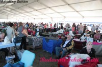 /album/dog-show-komarom/a301169-285375648154319-963337428-n-jpg/