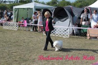 /album/dog-show-komarom/a303834-285375274821023-199613702-n-jpg/